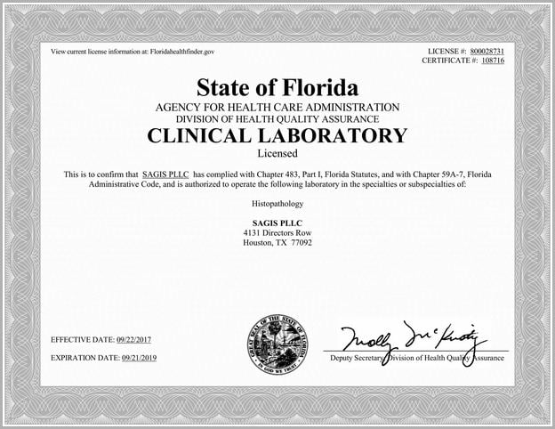 florida medical license lookup