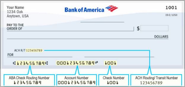 bank of america wire transfer fee