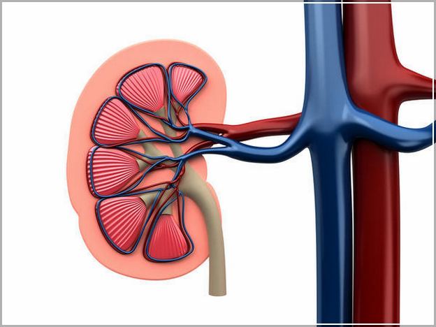Kidney Stone Pain Relief Heat