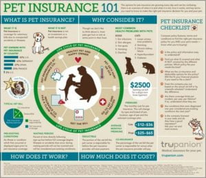 Pet Insurance For Dogs Cost