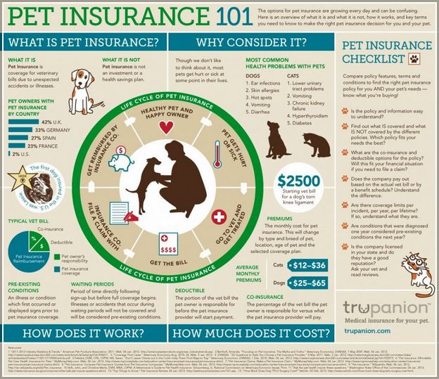 Pet Insurance For Dogs Reviews