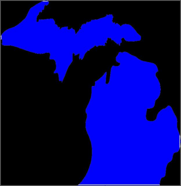 State Of Michigan Lara Business Entity Search