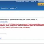 United Airlines Mileageplus Phone Number Usa